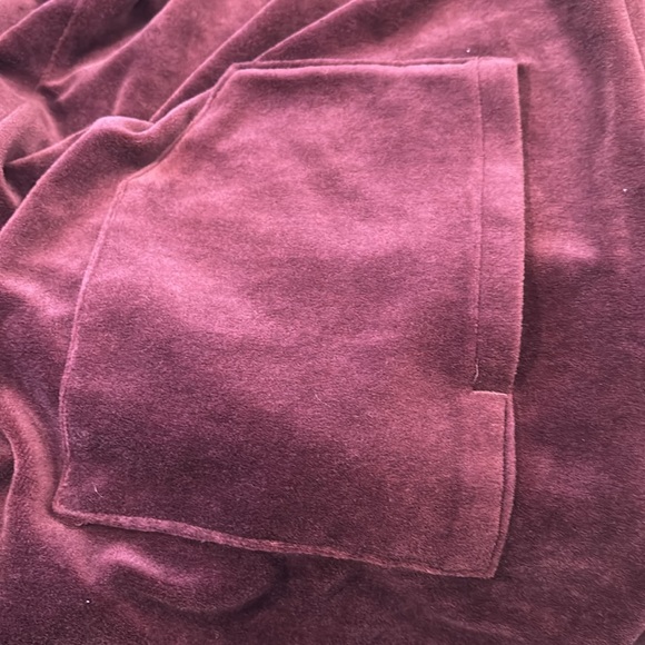 J. Jill Pure Jill Burgundy Velour Long Sleeve Shift Dress with Pockets - Picture 8 of 10